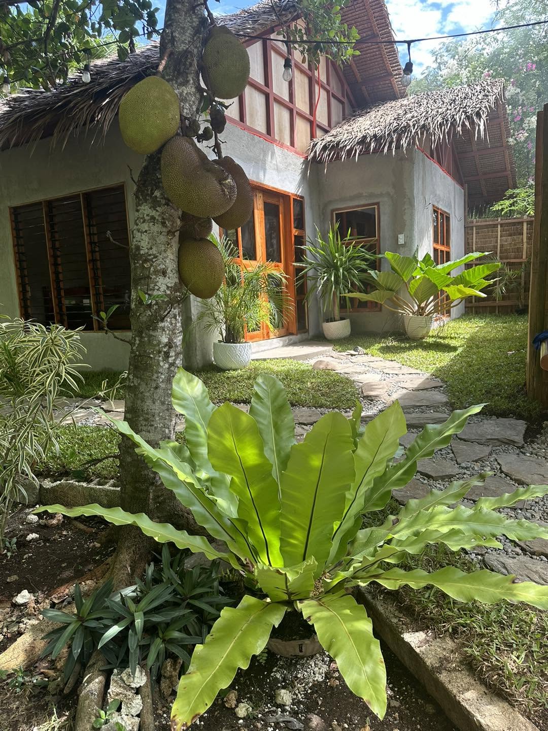 Garden cottage exterior at Bohol Island Homestay, Panglao