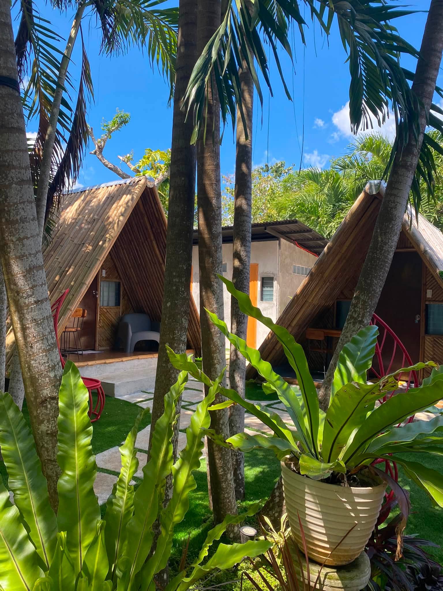 A cluster of A-frame cottages seen through the garden