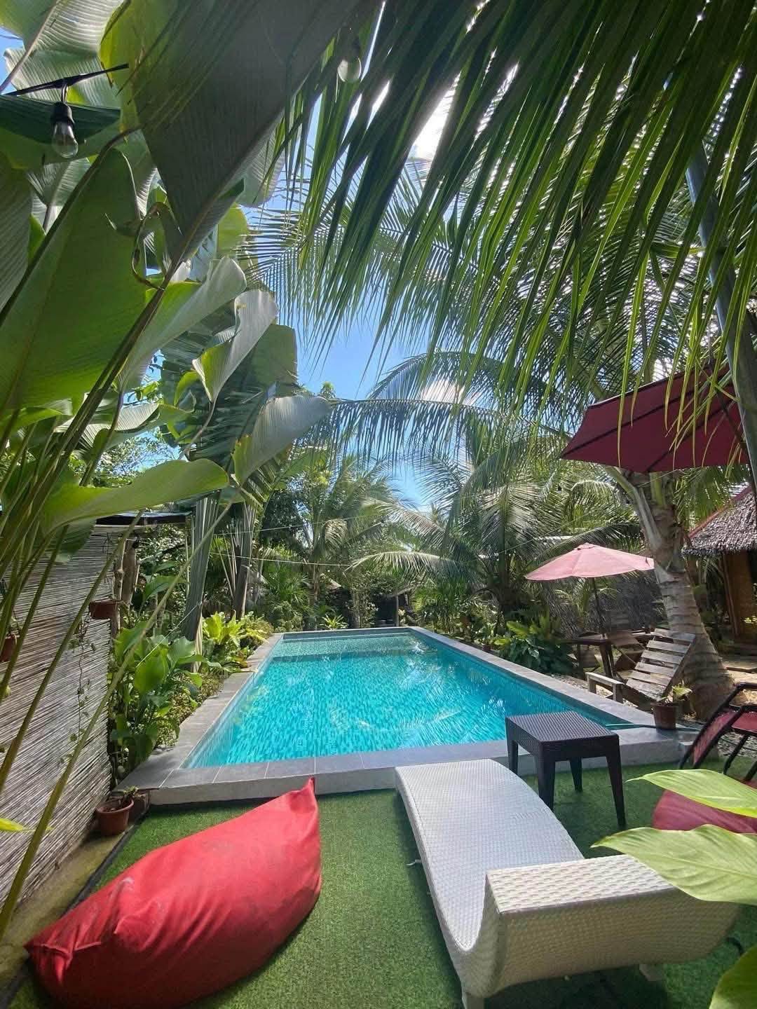 Garden pool with loungers and umbrellas at Bohol Island Homestay