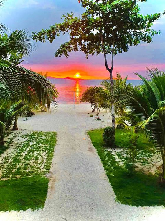 A sandy path through palms to the beach at sunset