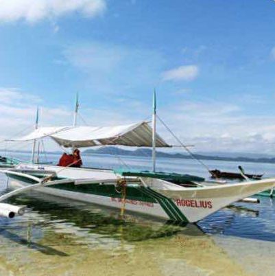 M/V Rogelius, a small white outrigger boat with a canopy, moored in clear shallow water