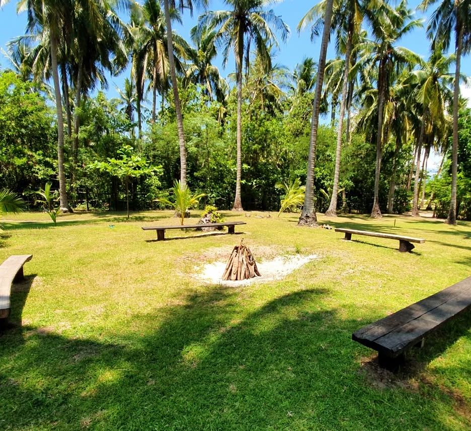 Timber benches arranged around the bonfire pit on a sunny lawn under coconut palms