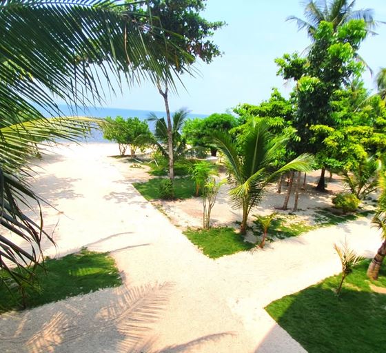 Sand paths between young palms and lawns leading to the sea