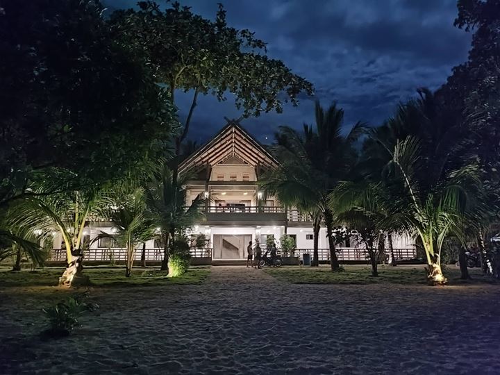The main building's gabled front lit up behind palms at night