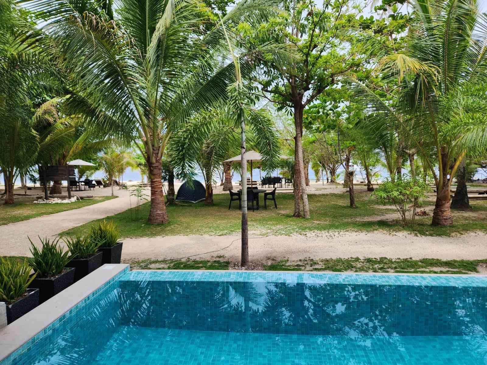 The pool edge in daylight with the palm-shaded lawn, tables and umbrellas of the resort grounds beyond