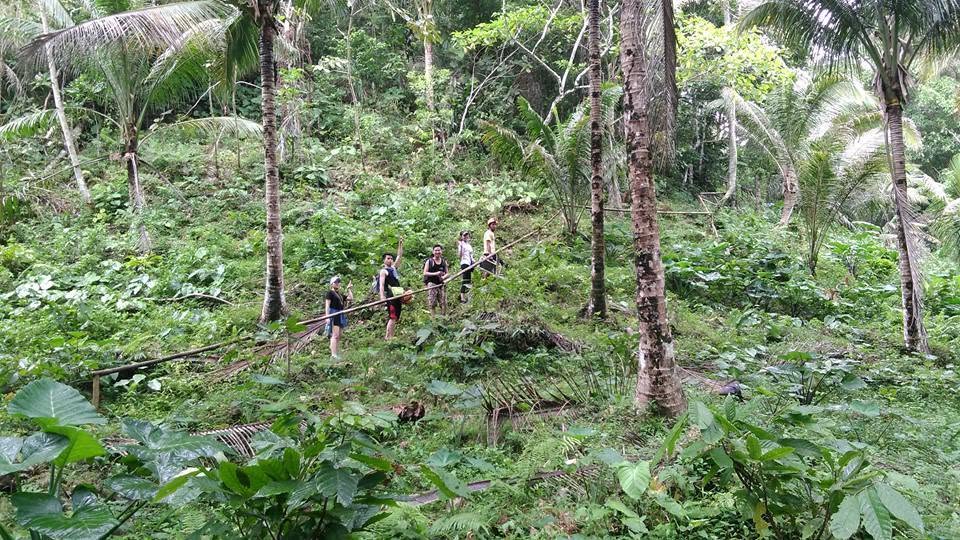 Visitors walking a tropical forest trail