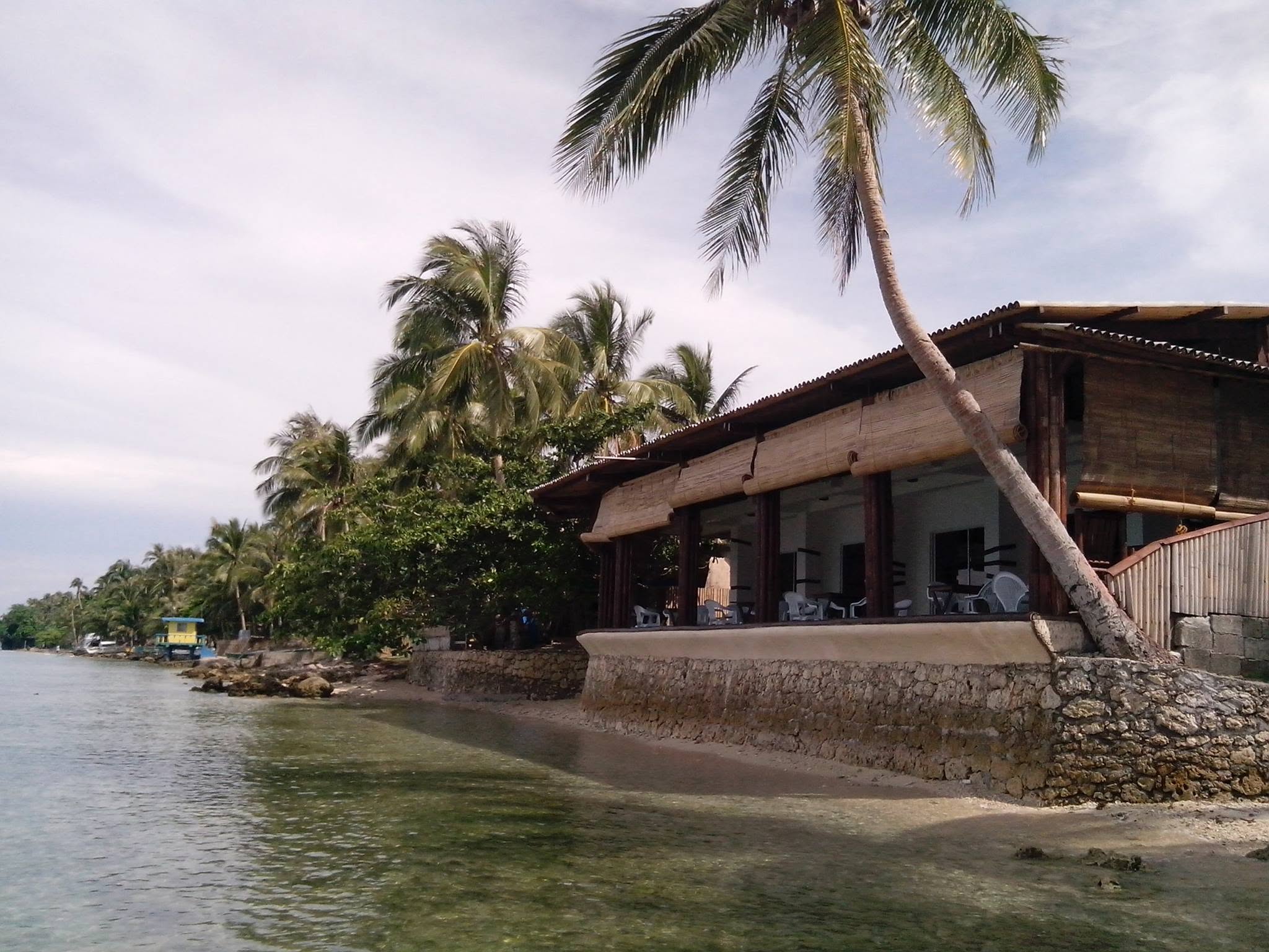 JD Beach Front Hotel beside the water with palm trees along the shoreline