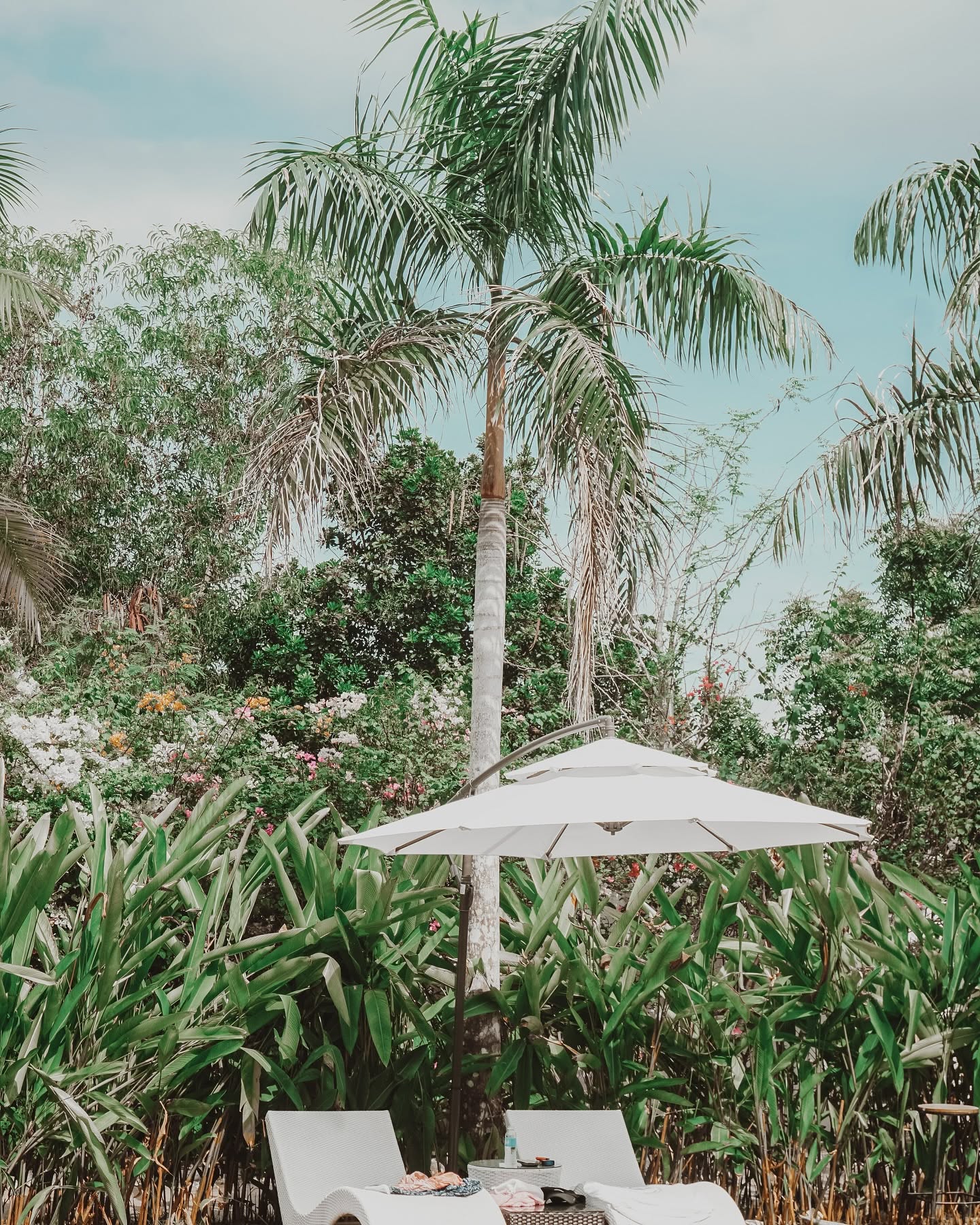 Cantilever umbrella among flowering tropical garden