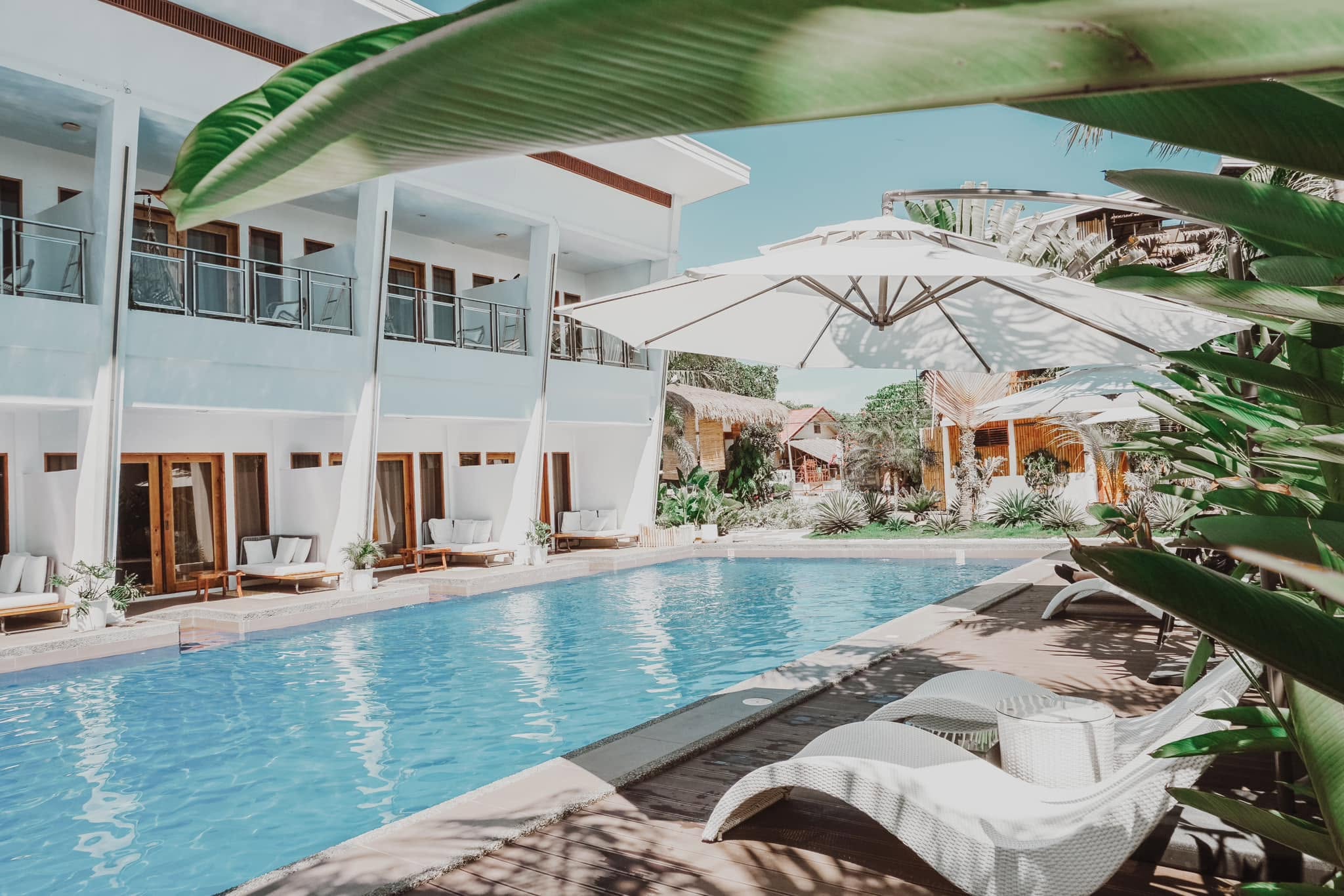 Pool courtyard framed by a banana leaf at Molly Resort Bohol