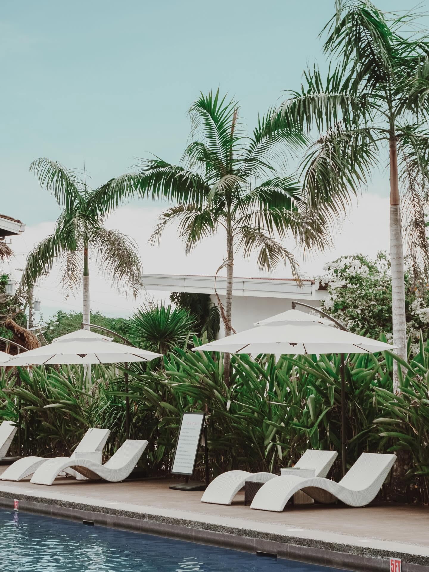 Tall palms and white umbrellas by the pool