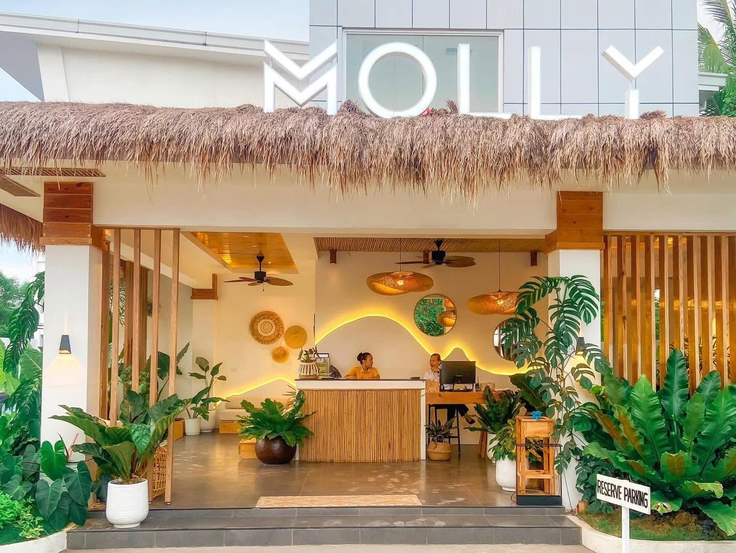 Thatched-roof reception with the MOLLY sign