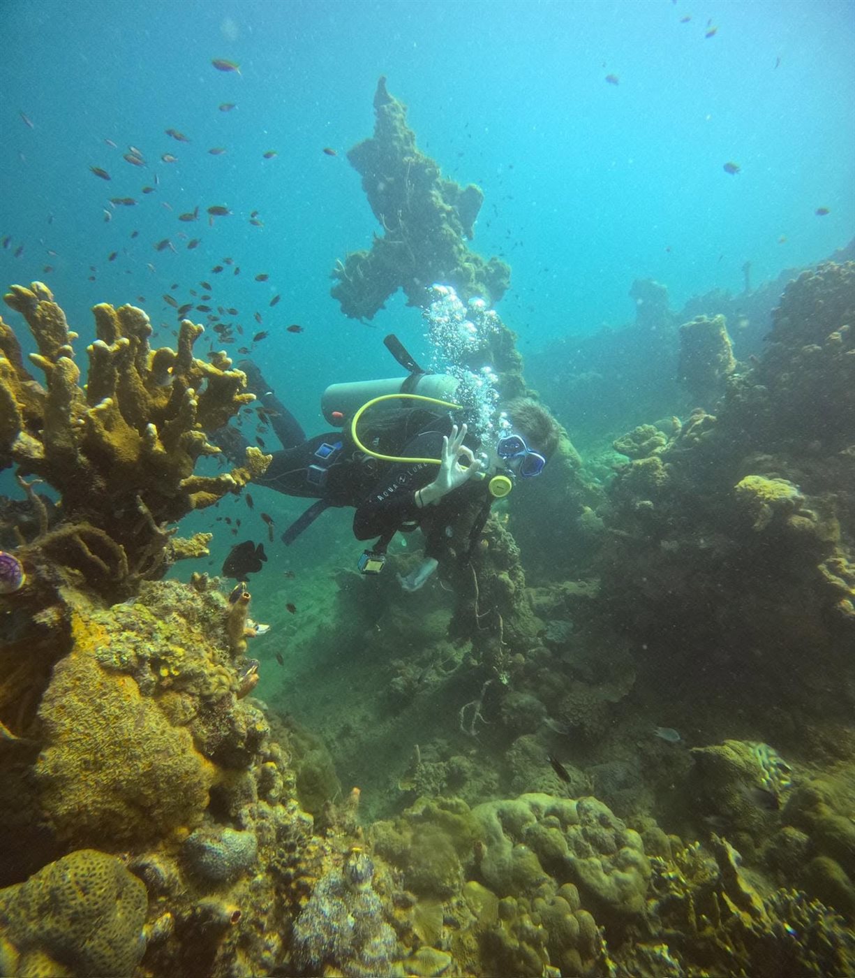 A diver exploring a coral bommie surrounded by reef fish in Coron Bay